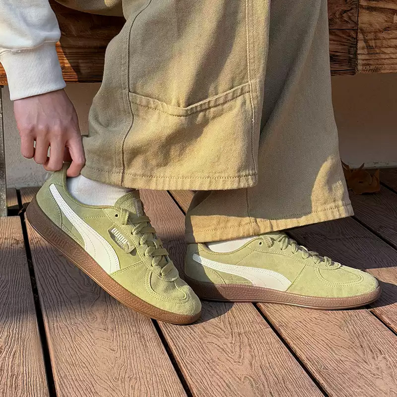 푸마 남녀공용 스포츠화, 여름 남자친구 스타일 트레이닝 - Men Shoes Puma 리뷰 및 가격